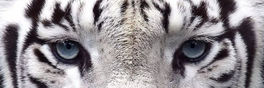 Jamesnse22's profile banner image