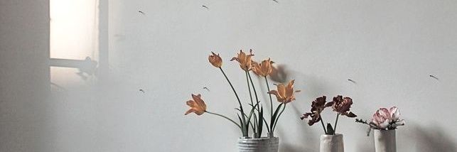 angiieov's profile banner image