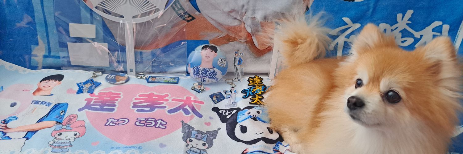 poncha2022's profile banner image