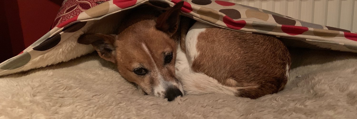 doggaway's profile banner image
