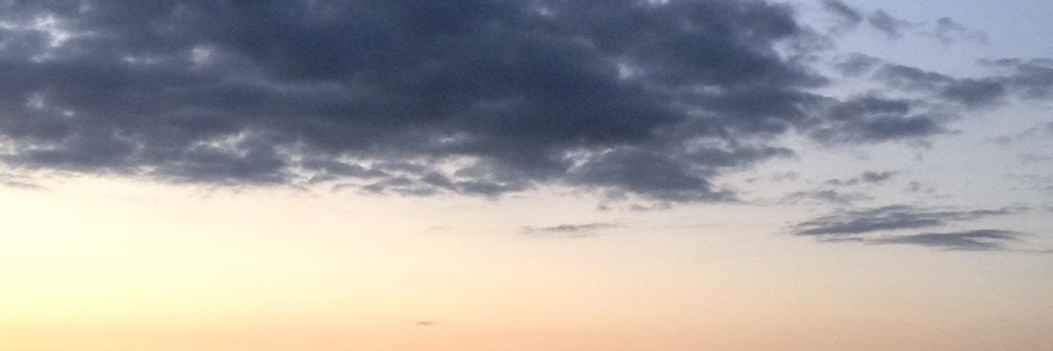 Bart van der Meer banner