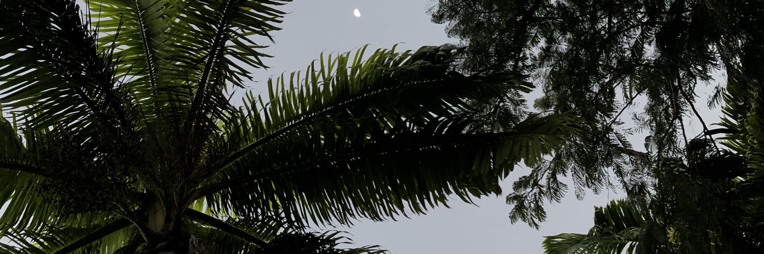 anniekaneX's profile banner image