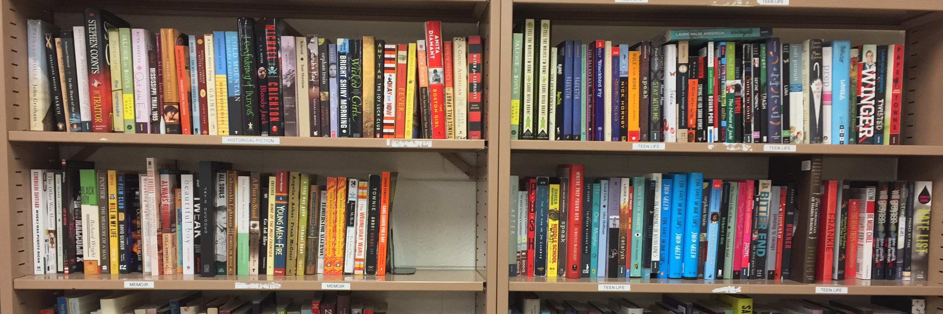 THSReadingRevolution banner