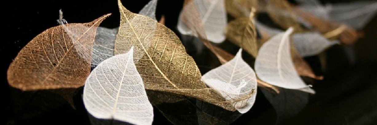 SkeletonLeafJTL's profile banner image