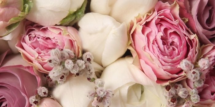 xiangzhen19's profile banner image