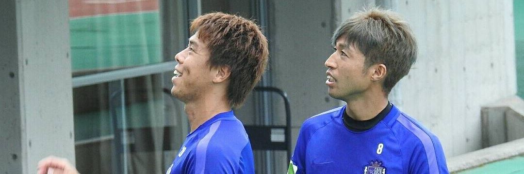 procyon 28 33 8 banner