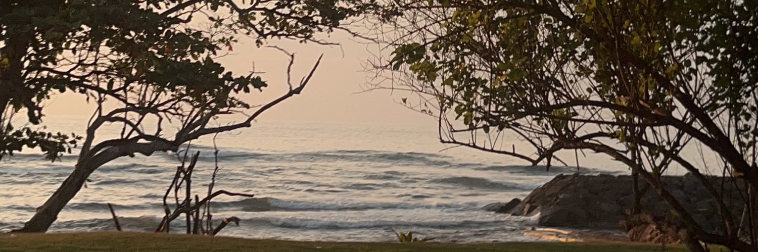 vvwinaa's profile banner image