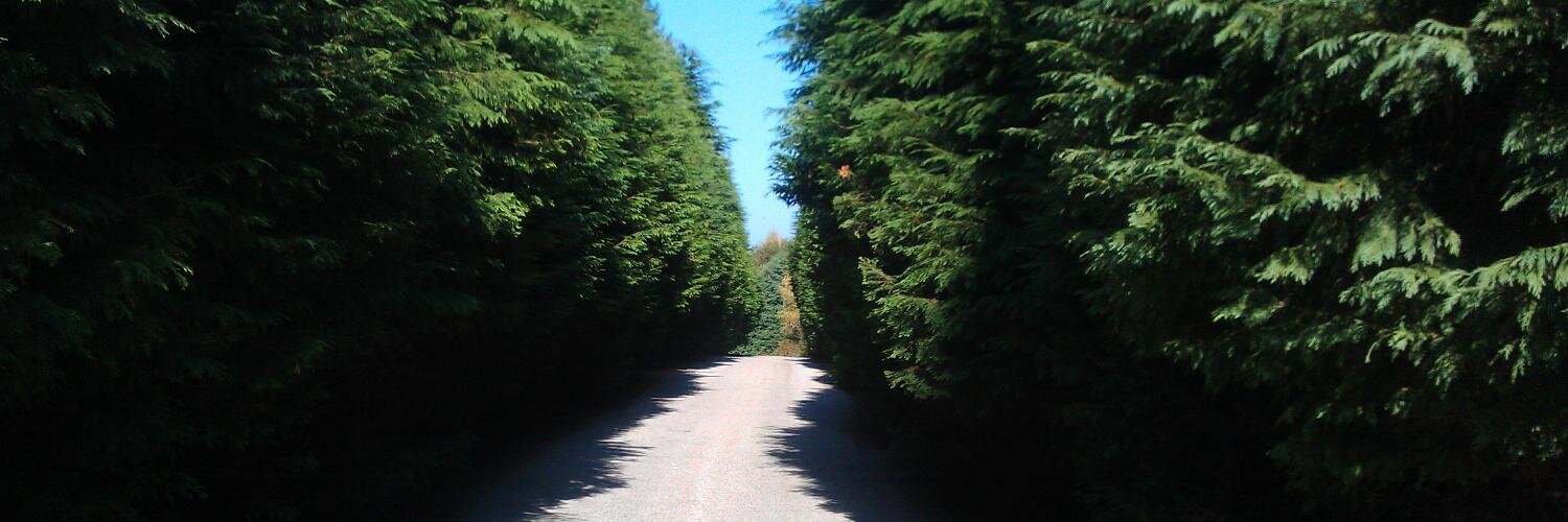 Александър Куртаков banner