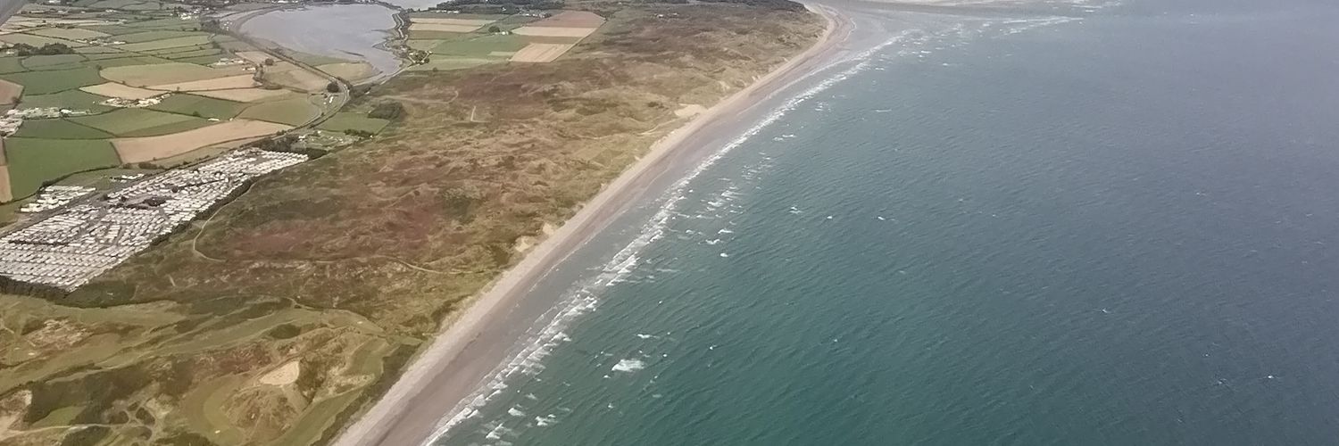Lisa D banner