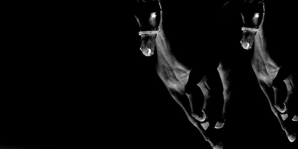 MohamedAwad_'s profile banner image