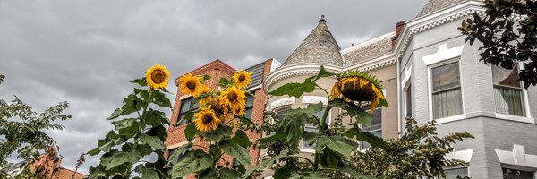 erotheroth Profile Banner