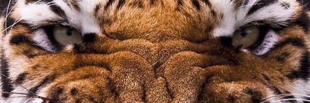 howellj19's profile banner image