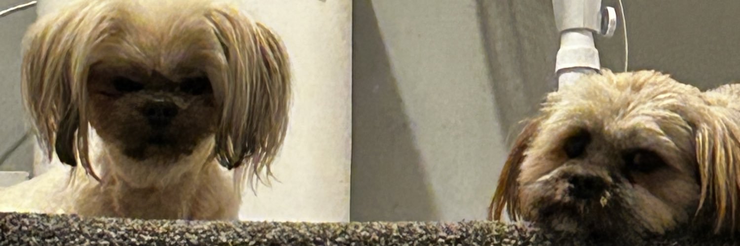 RedforLife97's profile banner image