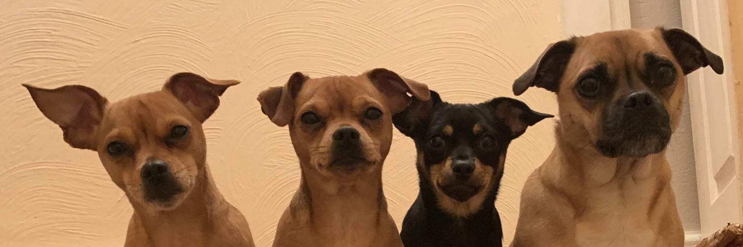 jasjane2's profile banner image