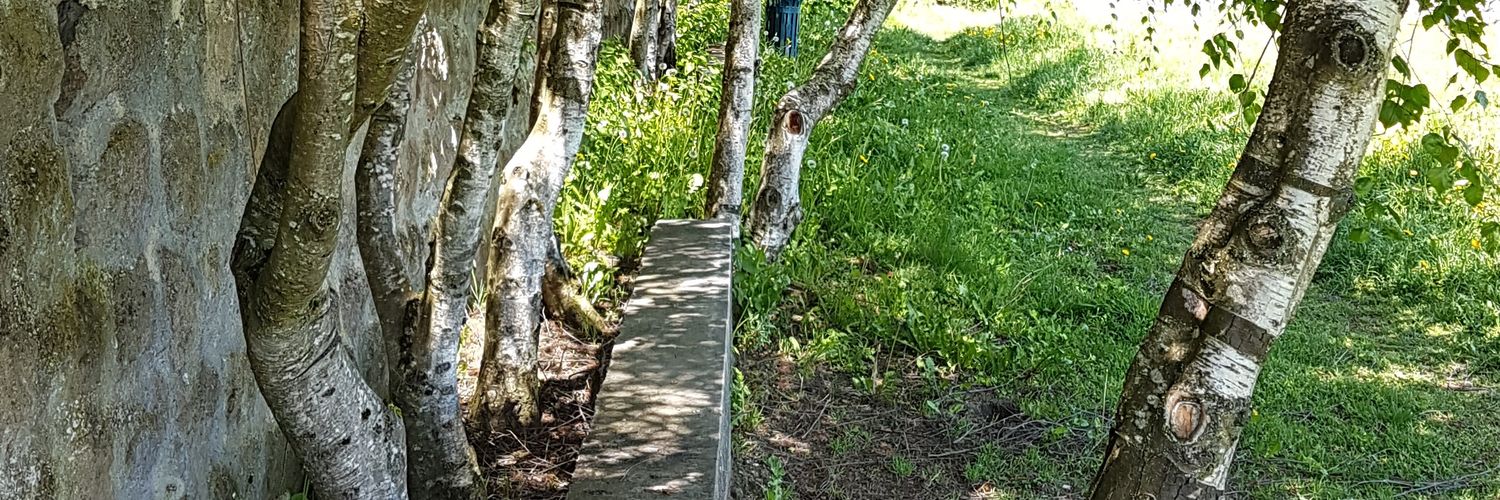 Benjamin Blanc banner