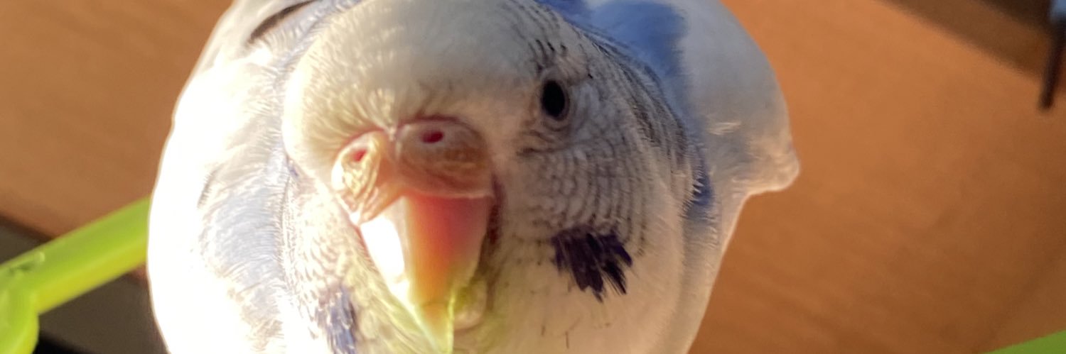 rootak2's profile banner image