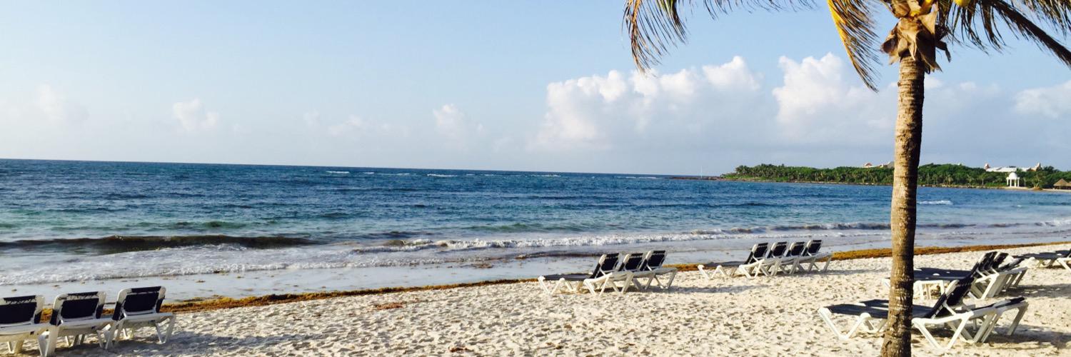 natalia moris banner