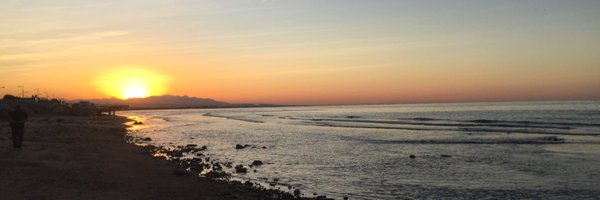 tangled26 Profile Banner