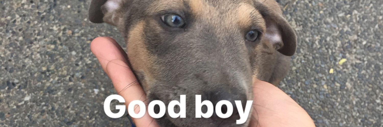 jboy______'s profile banner image