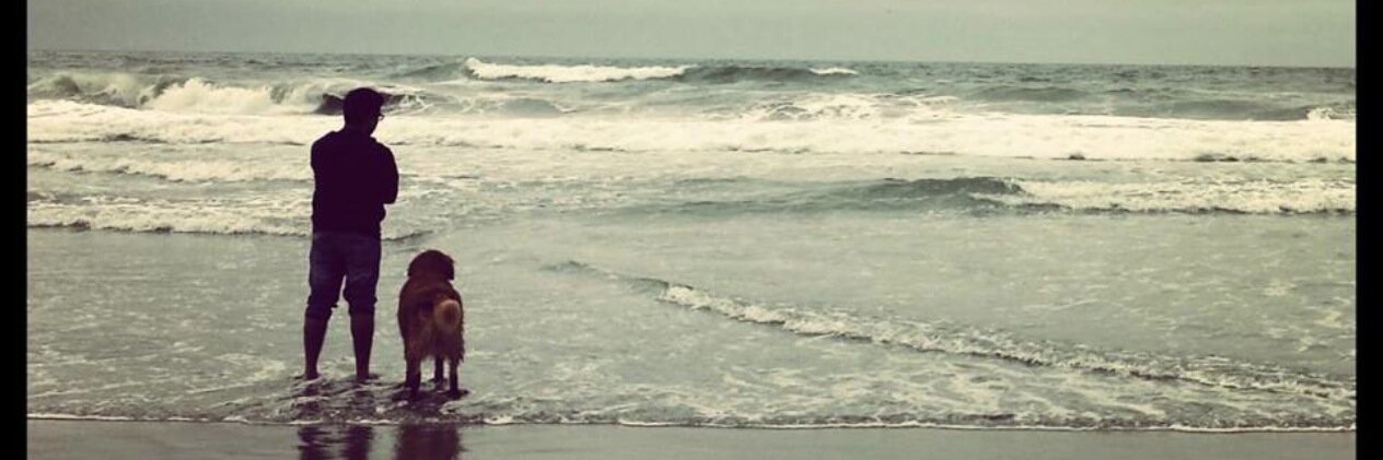 richapareek's profile banner image
