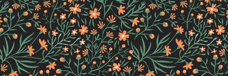 annvabethchase's profile banner image