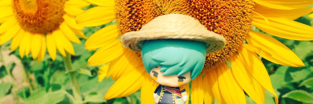 🍛 banner