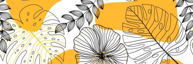 NoelaJoe's profile banner image