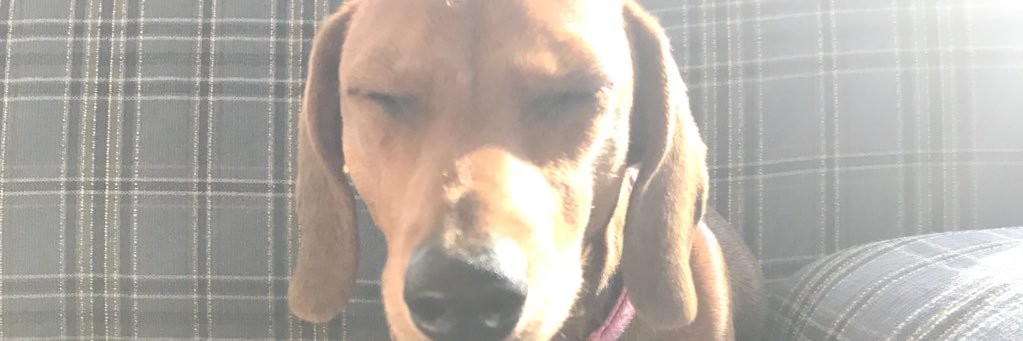 _madi000's profile banner image