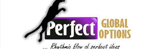 perfectoptions's profile banner image