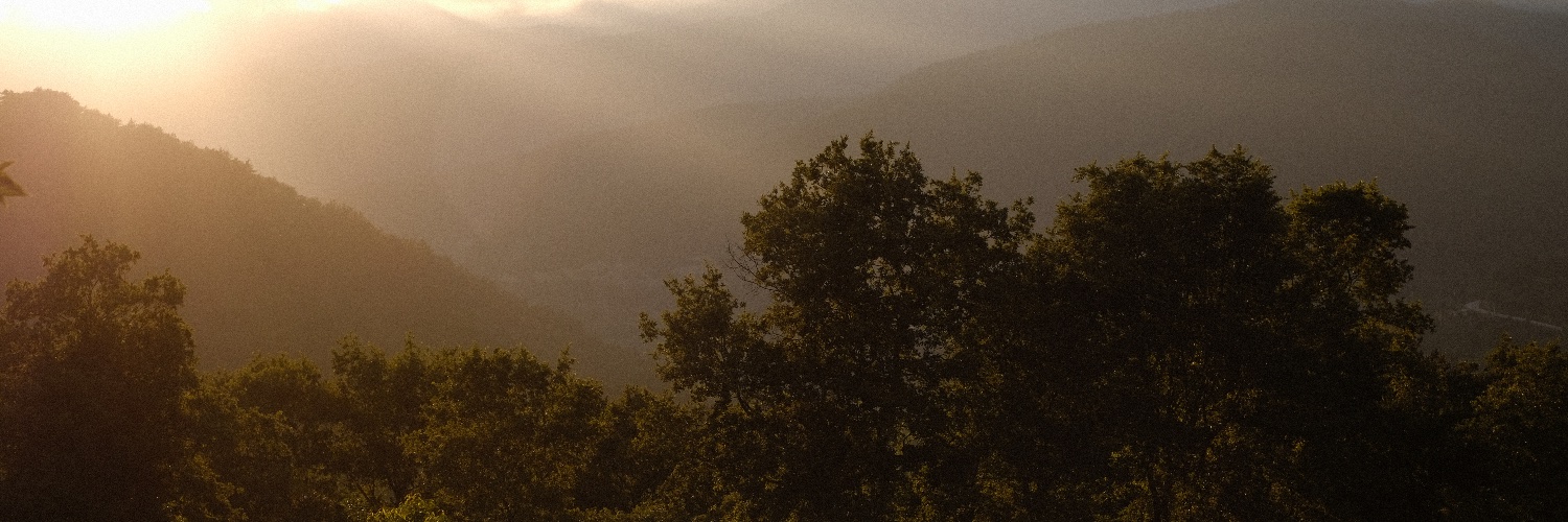 zbakyildiz's profile banner image