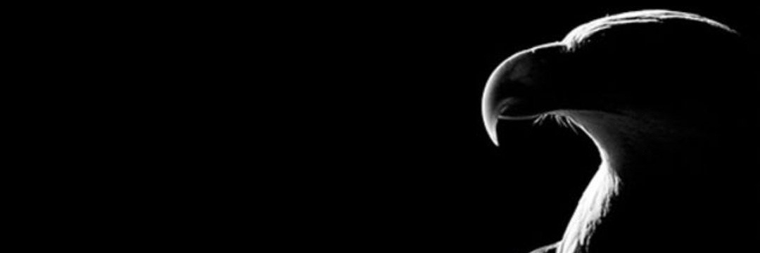 ZILLTY's profile banner image