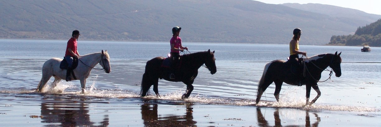 argylladventure's profile banner image
