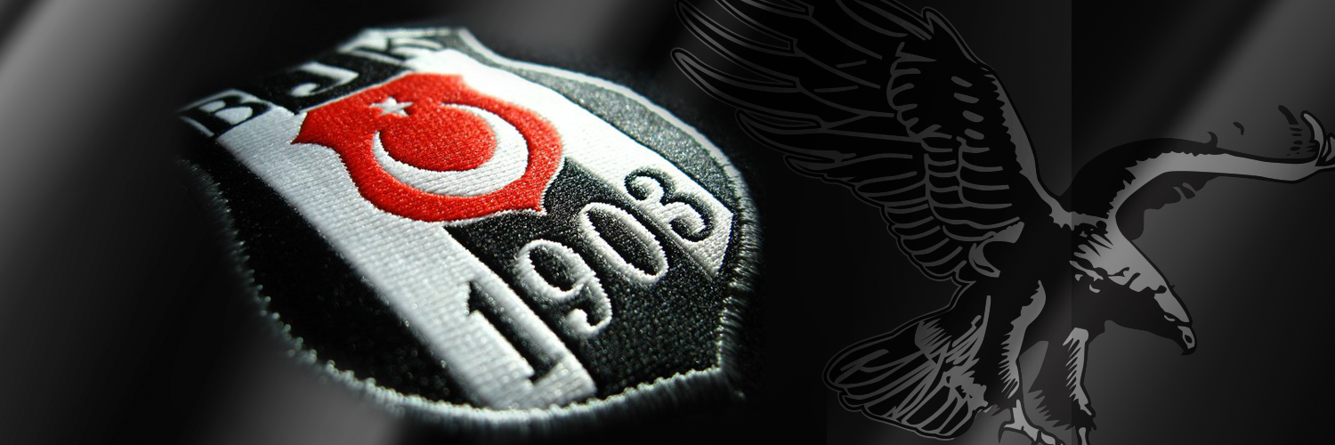ulasdemiroz's profile banner image