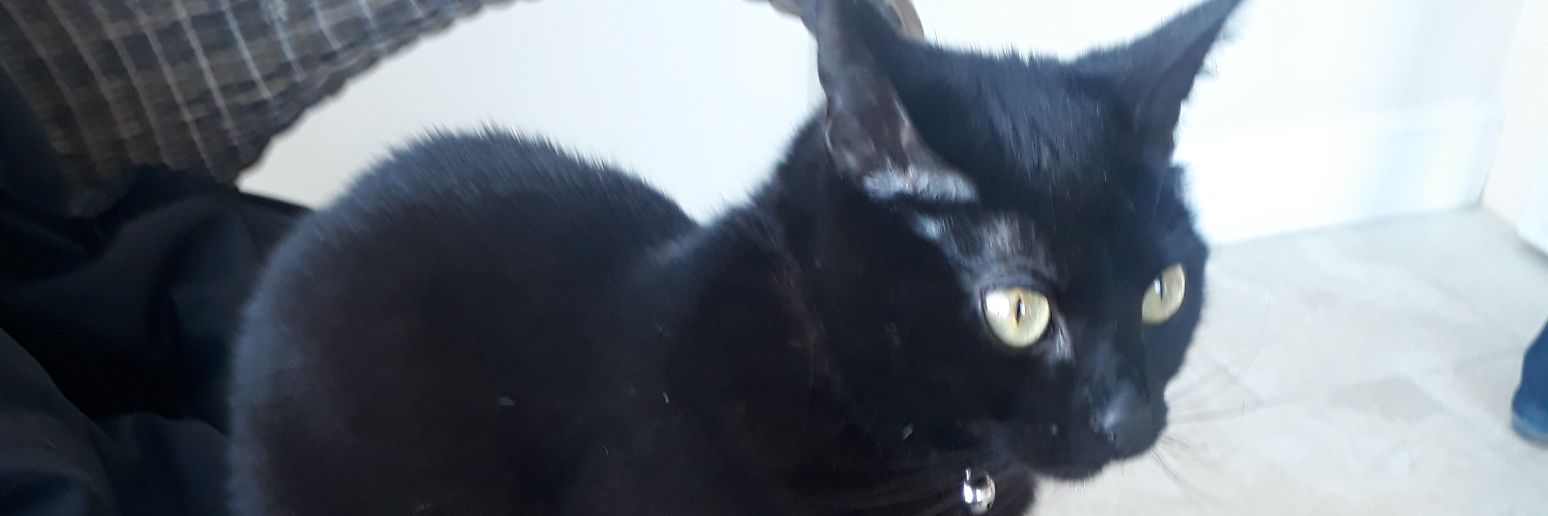 AbiFowler's profile banner image