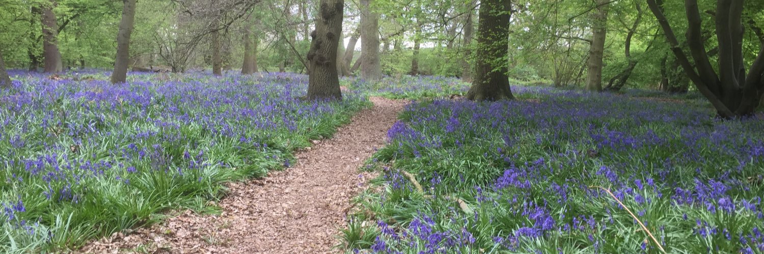 Meg Wilkinson💙 banner