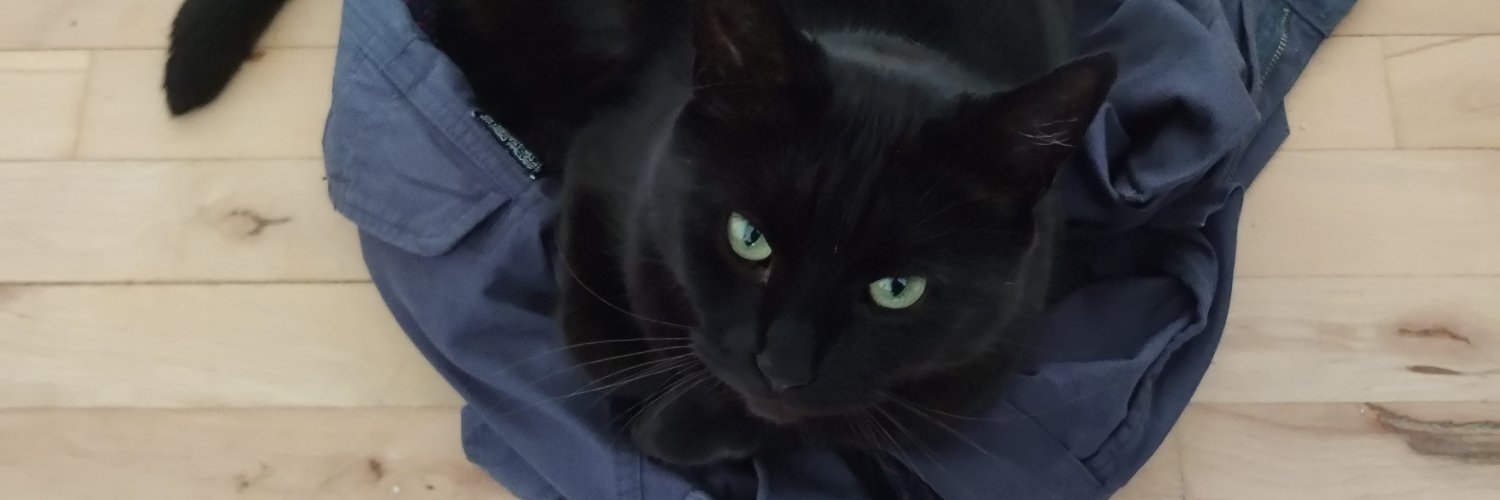 paddehat's profile banner image