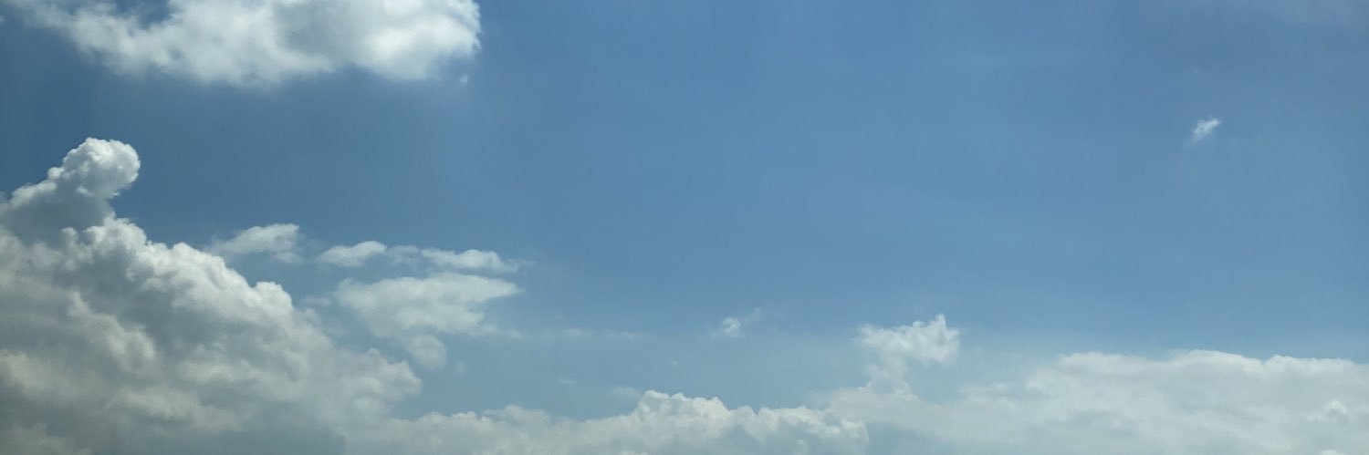 woxzard's profile banner image