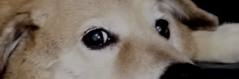 potya_hiro's profile banner image