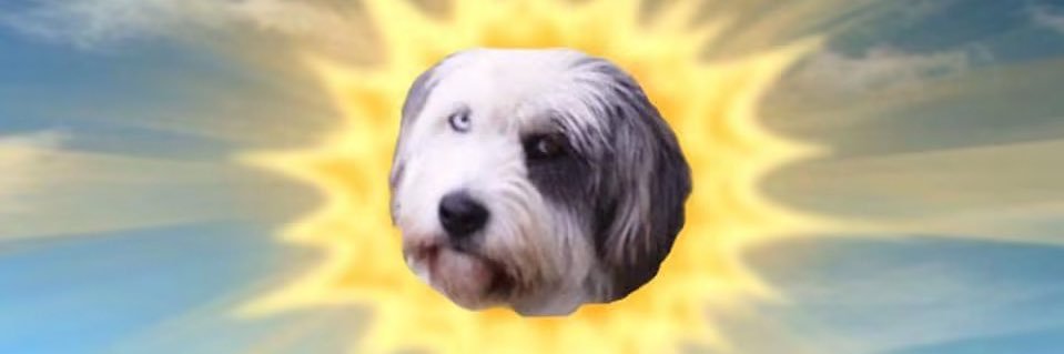 QueenShhhh's profile banner image