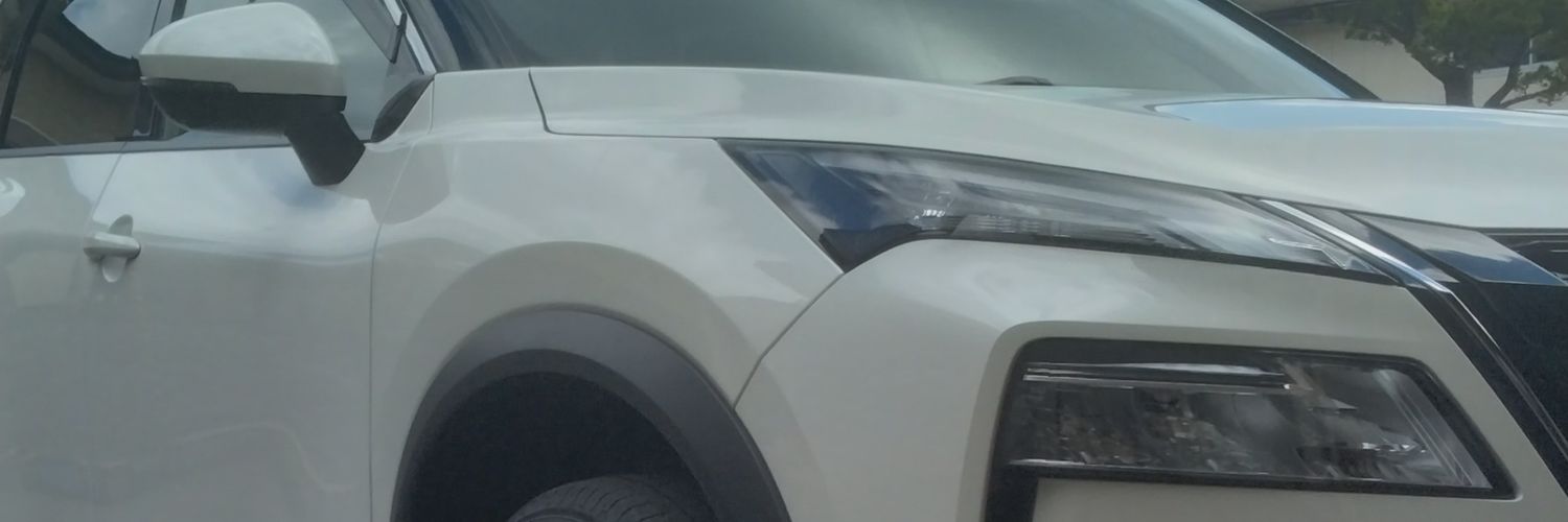 ACNES2's profile banner image