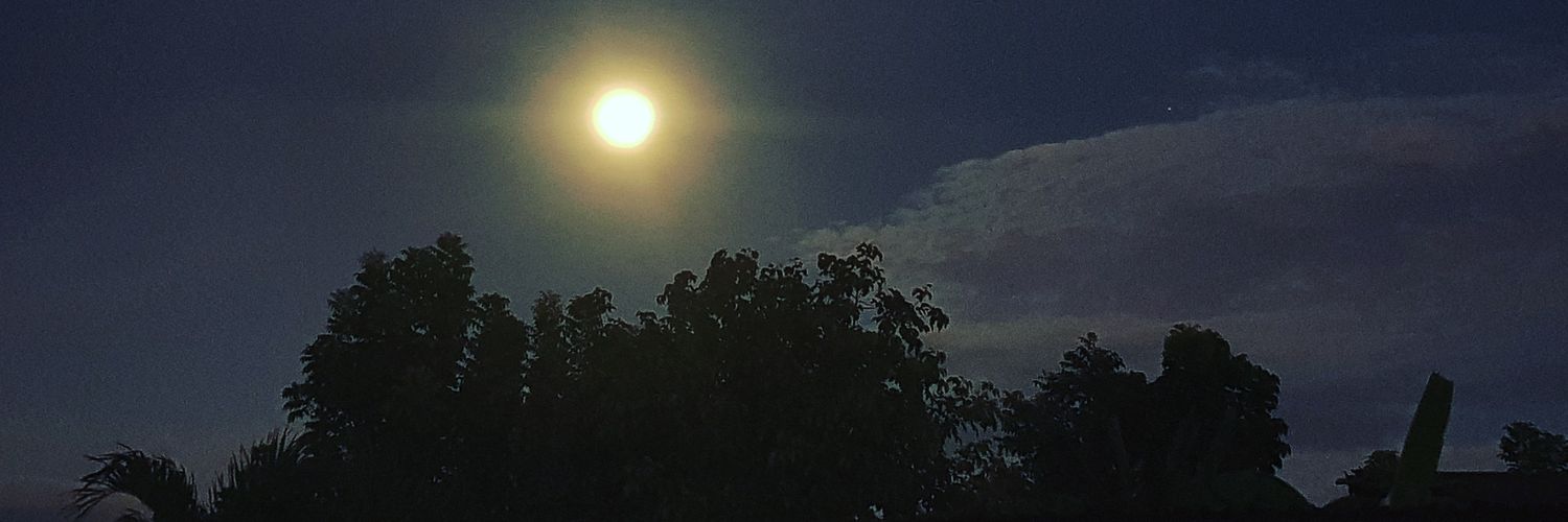 ohmandy7's profile banner image