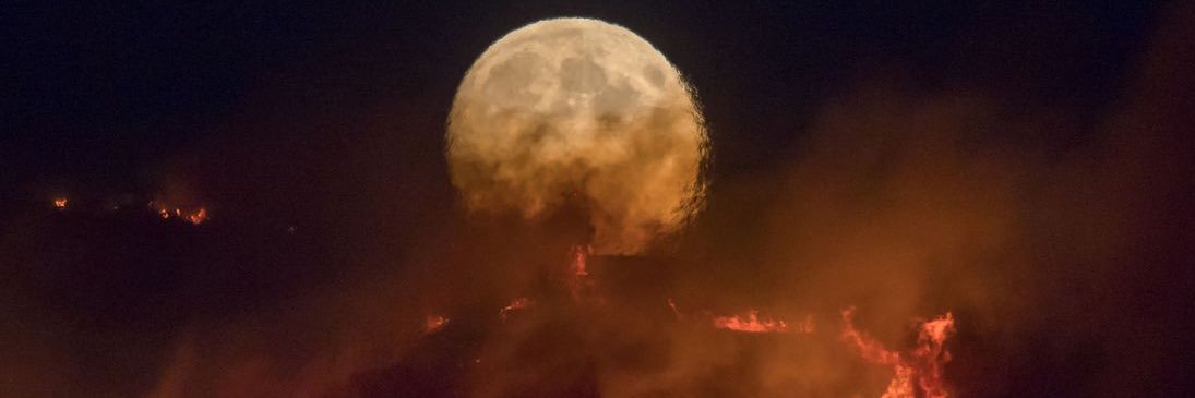maccionaith's profile banner image