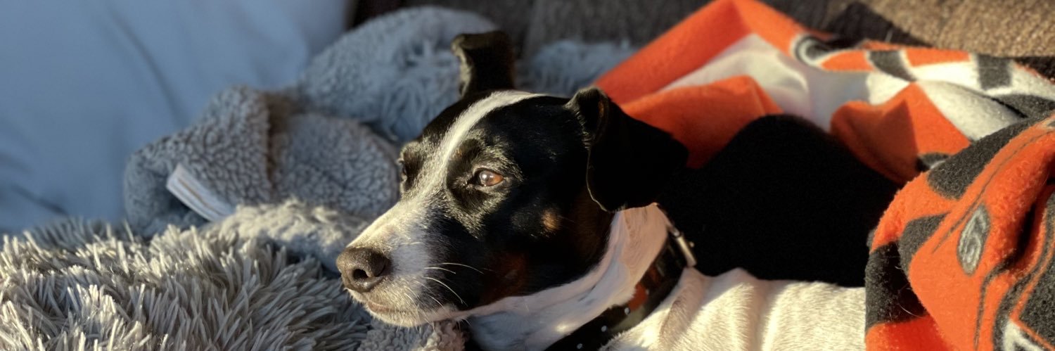 franklight55's profile banner image