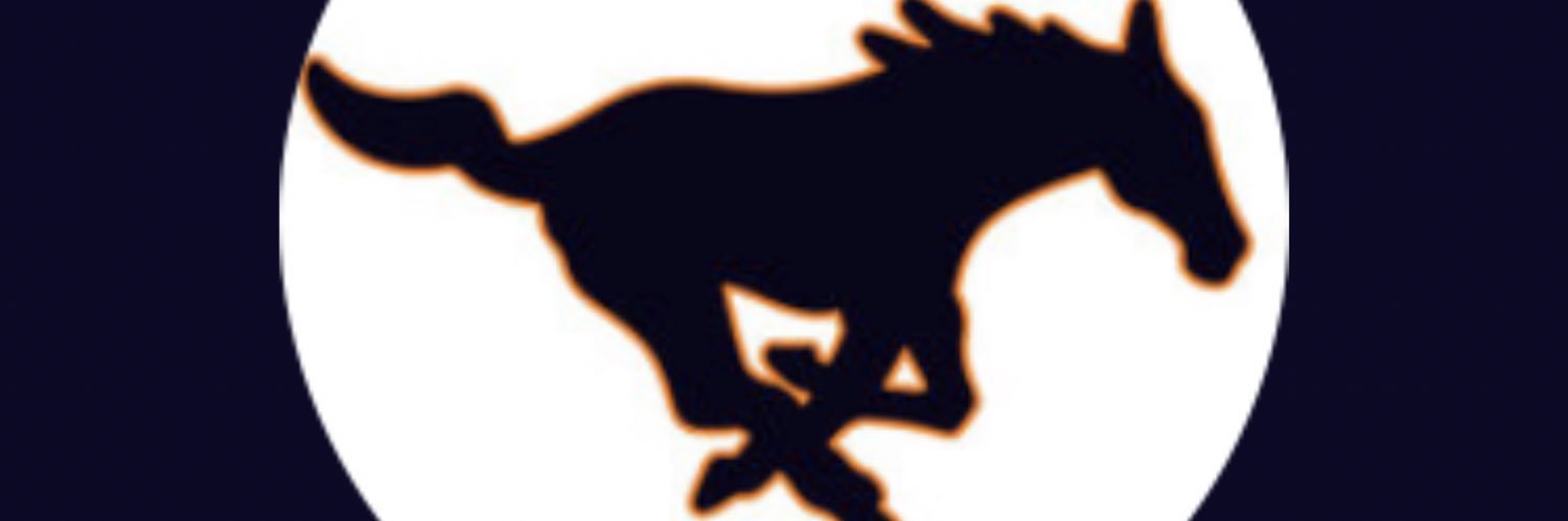 Sachse_Math's profile banner image