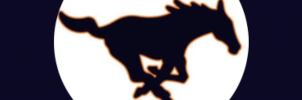 Sachse_Math Profile Banner
