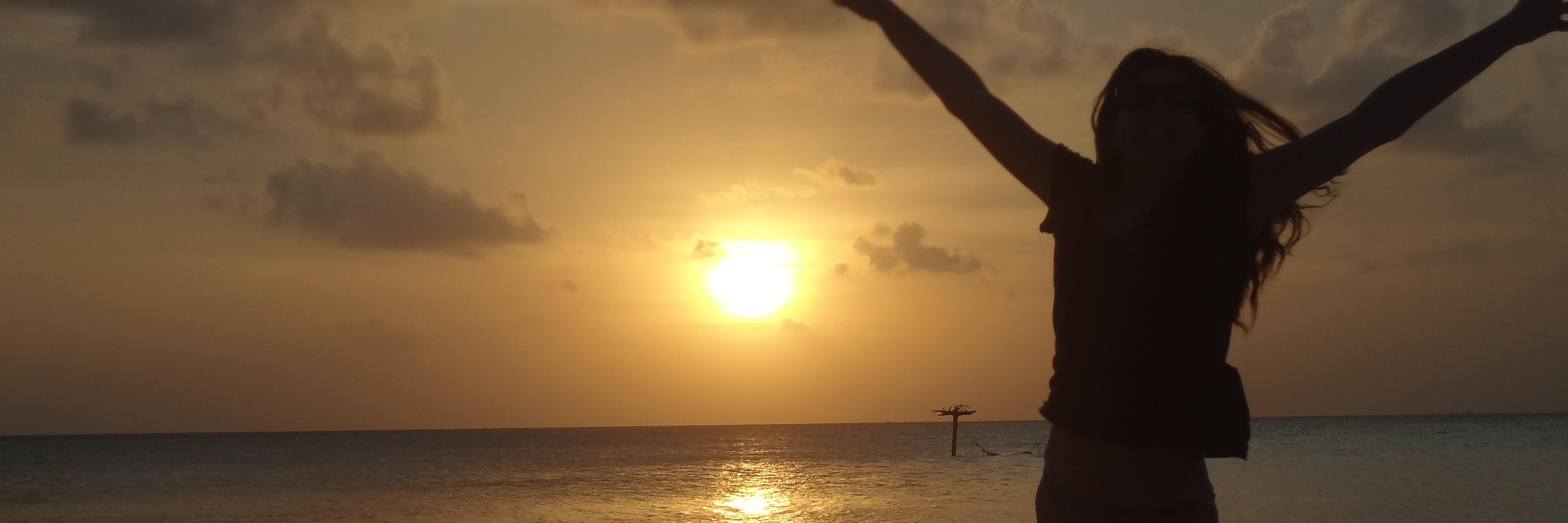 selinsevindiren's profile banner image
