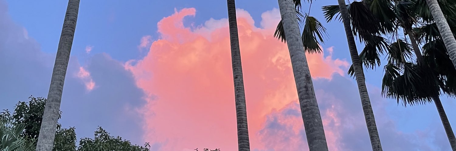 dewdosan's profile banner image