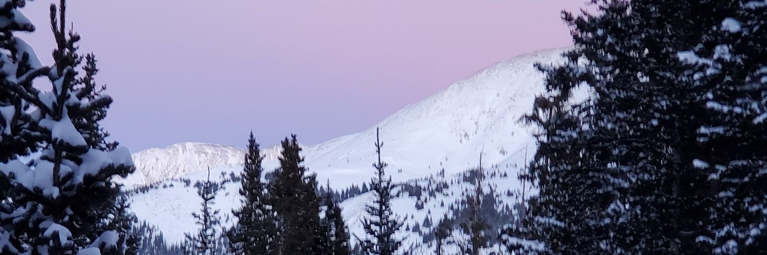 BreeHume's profile banner image