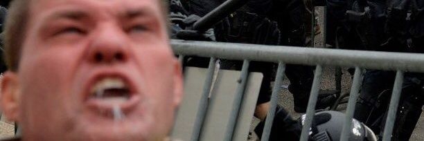 Hamburg Help//Synthetic Bufo or Bust banner