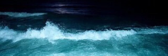 Haifa99830's profile banner image